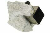 Natural Pyrite Cube In Rock From Spain #82062-1